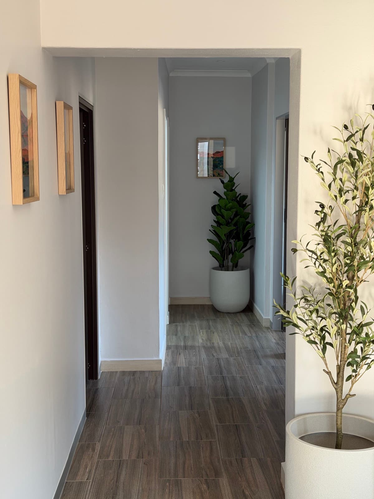 Light-filled hallway of the practice